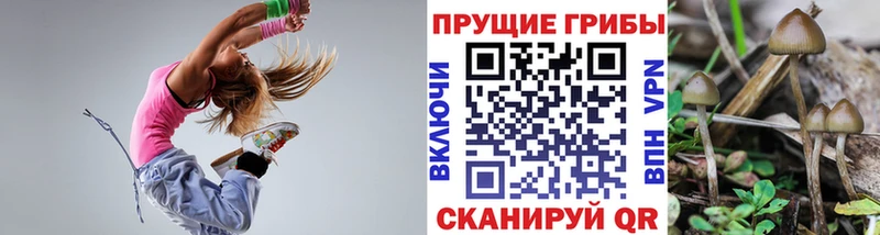 Псилоцибиновые грибы мухоморы  Белёв 
